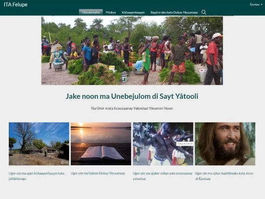 Website Felupe página inicial